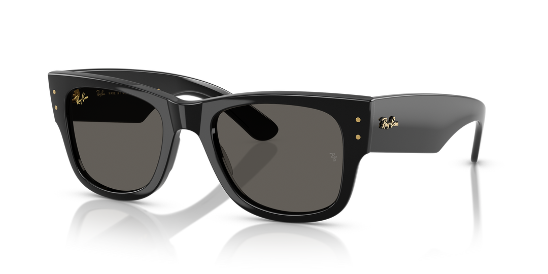 A$AP Rocky x Ray-Ban Collection – Sunglass City