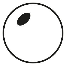 Single Vision Polarized